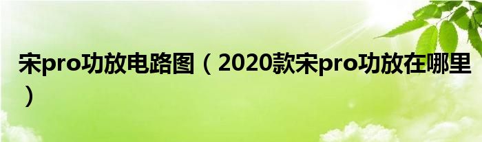 宋pro功放电路图（2020款宋pro功放在哪里）