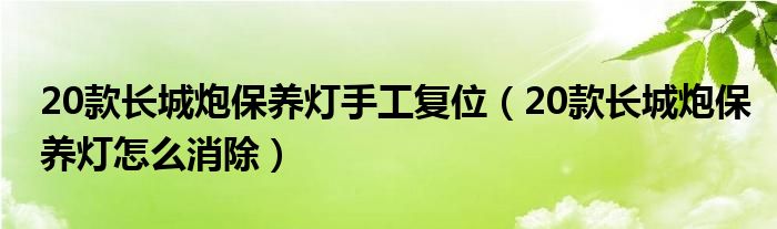 20款长城炮保养灯手工复位（20款长城炮保养灯怎么消除）