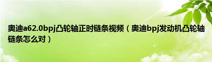 奥迪a62.0bpj凸轮轴正时链条视频（奥迪bpj发动机凸轮轴链条怎么对）