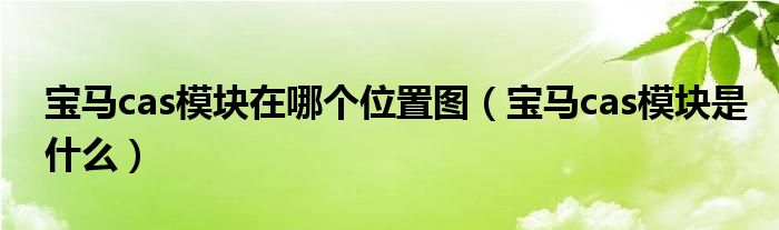 宝马cas模块在哪个位置图（宝马cas模块是什么）