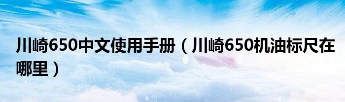 川崎650中文使用手册（川崎650机油标尺在哪里）