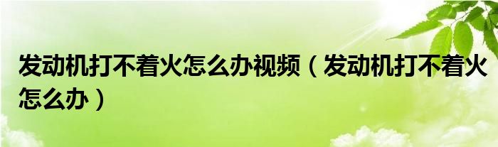 发动机打不着火怎么办视频（发动机打不着火怎么办）