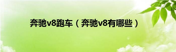 奔驰v8跑车（奔驰v8有哪些）