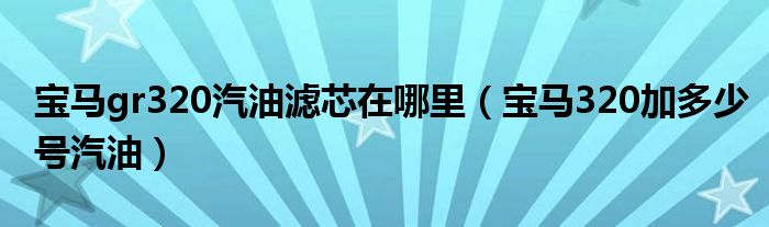 宝马gr320汽油滤芯在哪里（宝马320加多少号汽油）