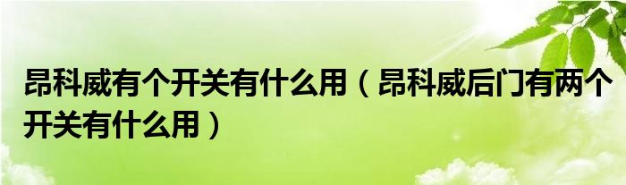 昂科威有个开关有什么用（昂科威后门有两个开关有什么用）