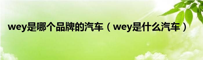 wey是哪个品牌的汽车（wey是什么汽车）