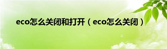 eco怎么关闭和打开（eco怎么关闭）