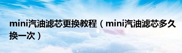 mini汽油滤芯更换教程（mini汽油滤芯多久换一次）