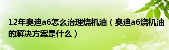 12年奥迪a6怎么治理烧机油（奥迪a6烧机油的解决方案是什么）