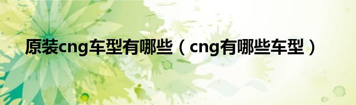 原装cng车型有哪些（cng有哪些车型）