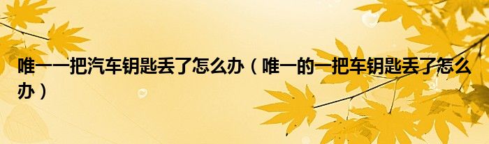 唯一一把汽车钥匙丢了怎么办（唯一的一把车钥匙丢了怎么办）