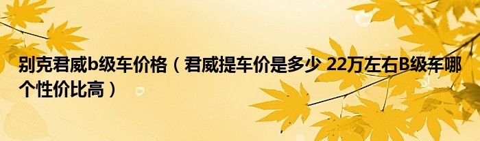 别克君威b级车价格（君威提车价是多少 22万左右B级车哪个性价比高）