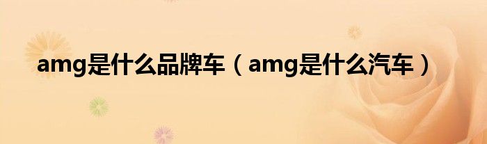 amg是什么品牌车（amg是什么汽车）