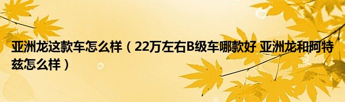 亚洲龙这款车怎么样（22万左右B级车哪款好 亚洲龙和阿特兹怎么样）