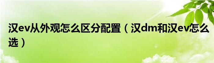 汉ev从外观怎么区分配置（汉dm和汉ev怎么选）