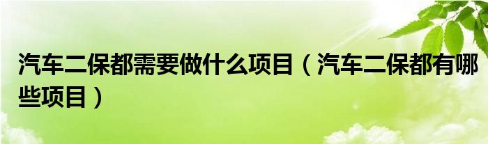 汽车二保都需要做什么项目（汽车二保都有哪些项目）