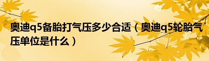 奥迪q5备胎打气压多少合适（奥迪q5轮胎气压单位是什么）