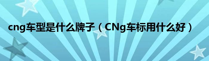 cng车型是什么牌子（CNg车标用什么好）