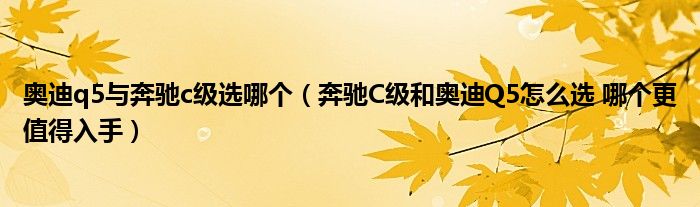 奥迪q5与奔驰c级选哪个（奔驰C级和奥迪Q5怎么选 哪个更值得入手）