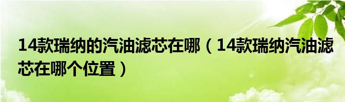 14款瑞纳的汽油滤芯在哪（14款瑞纳汽油滤芯在哪个位置）