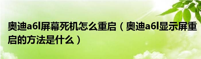 奥迪a6l屏幕死机怎么重启（奥迪a6l显示屏重启的方法是什么）