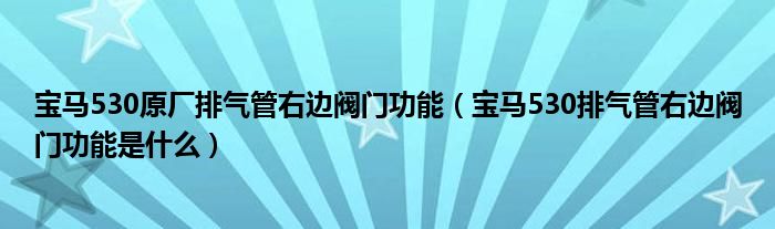 宝马530原厂排气管右边阀门功能（宝马530排气管右边阀门功能是什么）