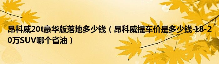 昂科威20t豪华版落地多少钱（昂科威提车价是多少钱 18-20万SUV哪个省油）