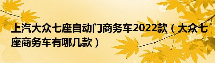 上汽大众七座自动门商务车2022款（大众七座商务车有哪几款）