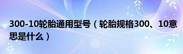 300-10轮胎通用型号（轮胎规格300、10意思是什么）