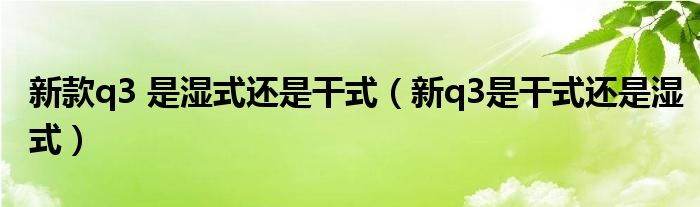 新款q3 是湿式还是干式（新q3是干式还是湿式）