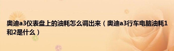 奥迪a3仪表盘上的油耗怎么调出来（奥迪a3行车电脑油耗1和2是什么）