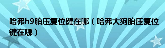 哈弗h9胎压复位键在哪（哈弗大狗胎压复位键在哪）