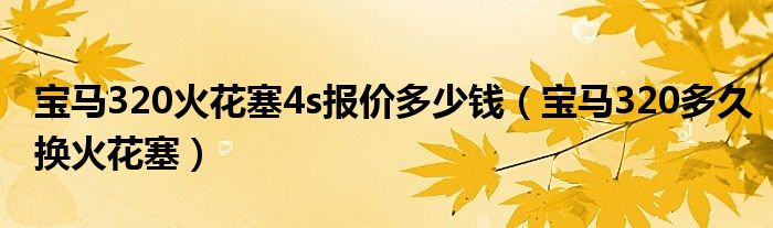 宝马320火花塞4s报价多少钱（宝马320多久换火花塞）