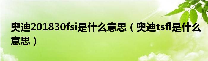 奥迪201830fsi是什么意思（奥迪tsfl是什么意思）