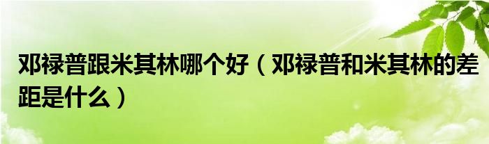 邓禄普跟米其林哪个好（邓禄普和米其林的差距是什么）