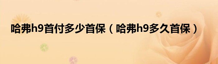 哈弗h9首付多少首保（哈弗h9多久首保）