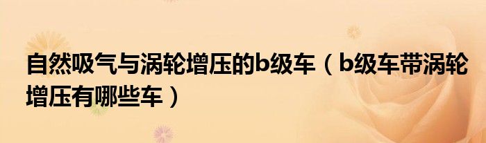 自然吸气与涡轮增压的b级车（b级车带涡轮增压有哪些车）