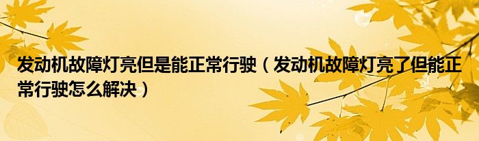 发动机故障灯亮但是能正常行驶（发动机故障灯亮了但能正常行驶怎么解决）