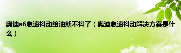 奥迪a6怠速抖动给油就不抖了（奥迪怠速抖动解决方案是什么）