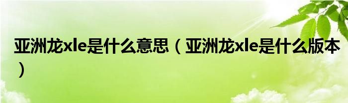 亚洲龙xle是什么意思（亚洲龙xle是什么版本）