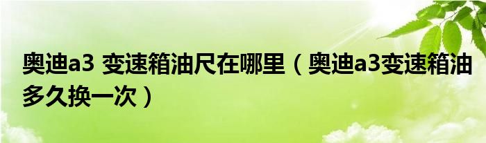 奥迪a3 变速箱油尺在哪里（奥迪a3变速箱油多久换一次）