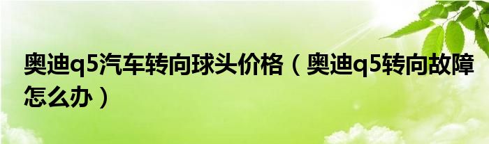 奥迪q5汽车转向球头价格（奥迪q5转向故障怎么办）