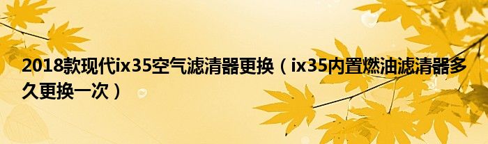 2018款现代ix35空气滤清器更换（ix35内置燃油滤清器多久更换一次）