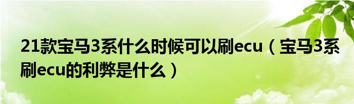 21款宝马3系什么时候可以刷ecu（宝马3系刷ecu的利弊是什么）