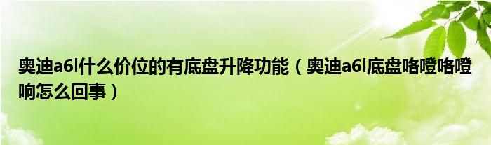 奥迪a6l什么价位的有底盘升降功能（奥迪a6l底盘咯噔咯噔响怎么回事）