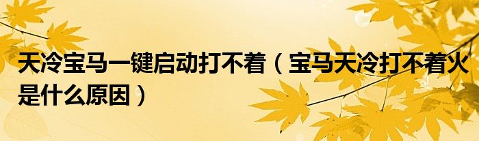 天冷宝马一键启动打不着（宝马天冷打不着火是什么原因）