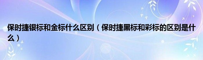 保时捷银标和金标什么区别（保时捷黑标和彩标的区别是什么）