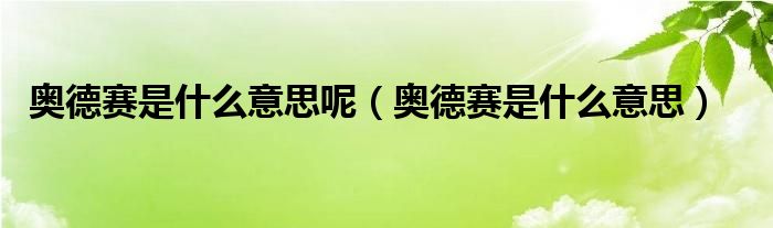 奥德赛是什么意思呢（奥德赛是什么意思）