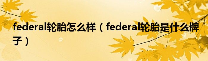 federal轮胎怎么样（federal轮胎是什么牌子）