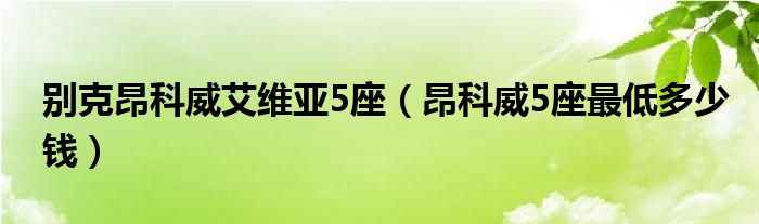 别克昂科威艾维亚5座（昂科威5座最低多少钱）